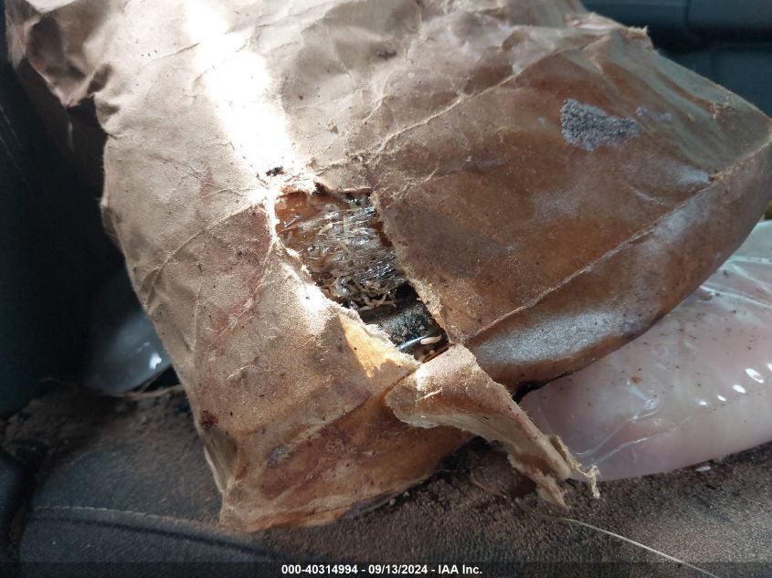 2019 RAM 1500 BIG HORN/LONE STAR  4X4 5'7 BOX - 1C6RRFFG1KN818144