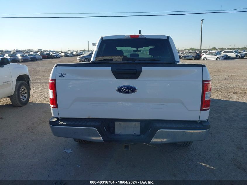 1FTEW1E53KKD30737 2019 FORD F-150 - Image 15