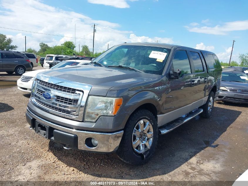 2013 Ford F-150 Xlt VIN: 1FTFW1EFXDKF25220 Lot: 40317073