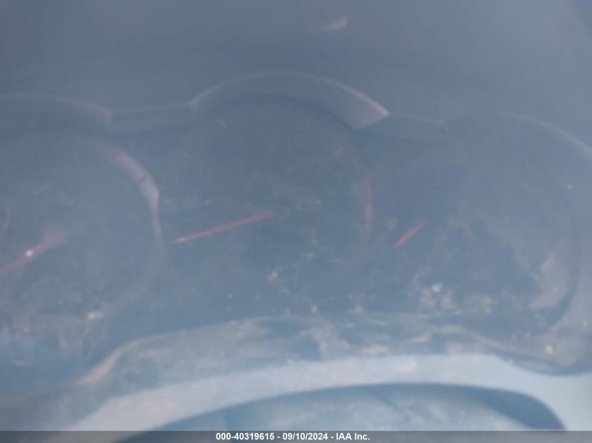 2009 Nissan Altima 2.5 S VIN: 1N4AL21E49N464061 Lot: 43445611