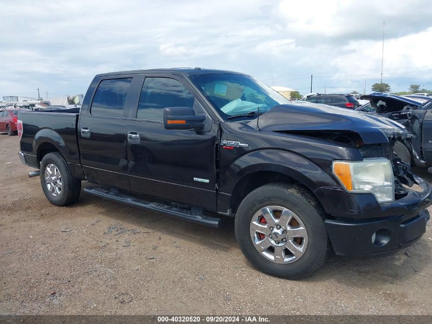 2013 Ford F-150 Xlt VIN: 1FTFW1CT5DKG23984 Lot: 40320520