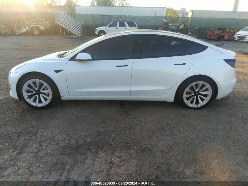 2023 TESLA MODEL 3 REAR-WHEEL DRIVE - 5YJ3E1EA3PF449187