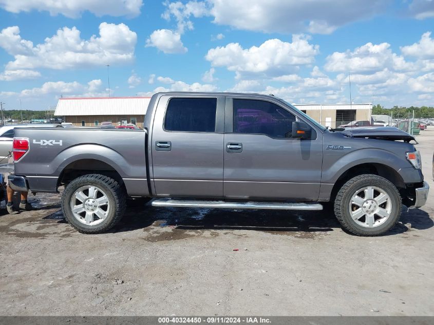 2014 Ford F-150 Xlt VIN: 1FTFW1EF7EKD80395 Lot: 40324450