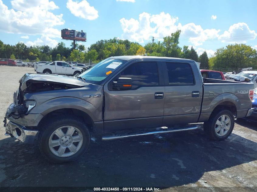 2014 Ford F-150 Xlt VIN: 1FTFW1EF7EKD80395 Lot: 40324450