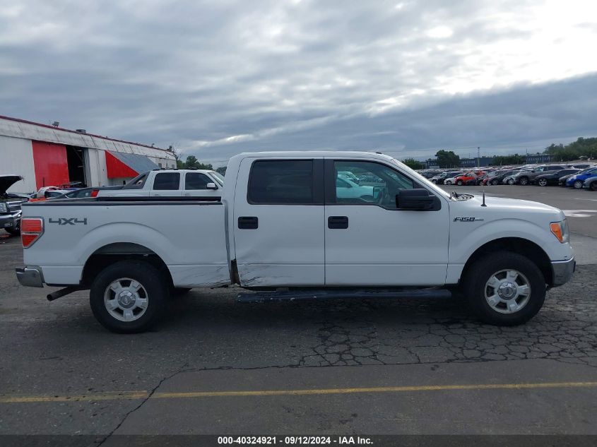 2013 Ford F-150 Xlt VIN: 1FTFW1EF4DFB55892 Lot: 40324921