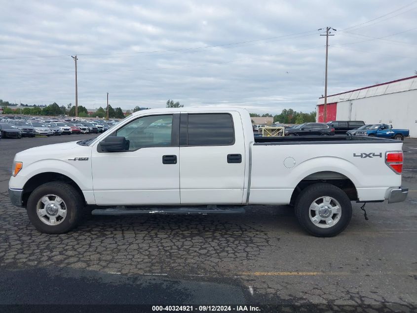 2013 Ford F-150 Xlt VIN: 1FTFW1EF4DFB55892 Lot: 40324921