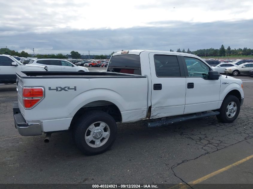 2013 Ford F-150 Xlt VIN: 1FTFW1EF4DFB55892 Lot: 40324921