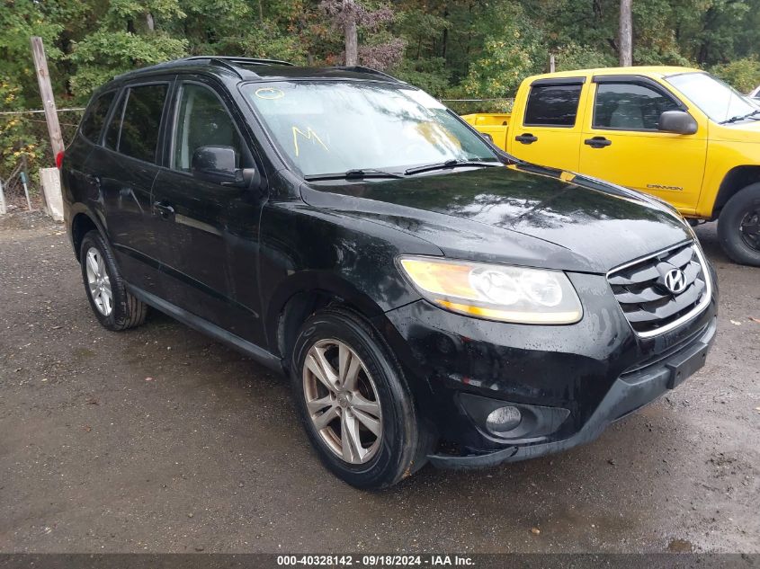 2010 Hyundai Santa Fe Se VIN: 5NMSHDAGXAH356087 Lot: 40328142