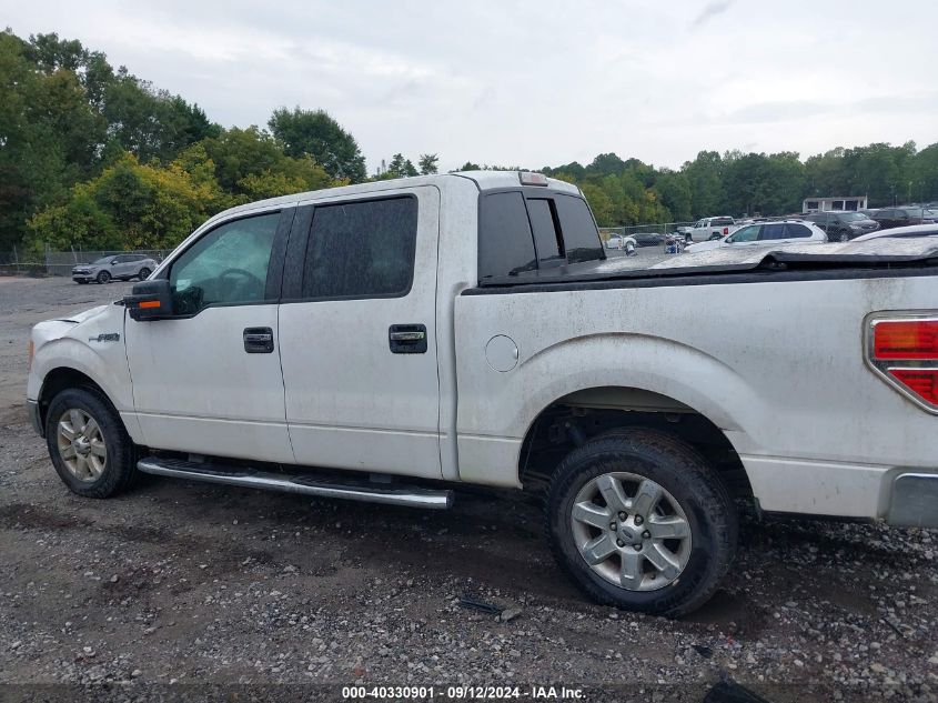 2014 FORD F-150 XLT - 1FTFW1CF0EKF42810