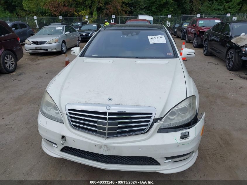 2010 Mercedes-Benz S 550 550 4Matic VIN: WDDNG8GB9AA310317 Lot: 40333246