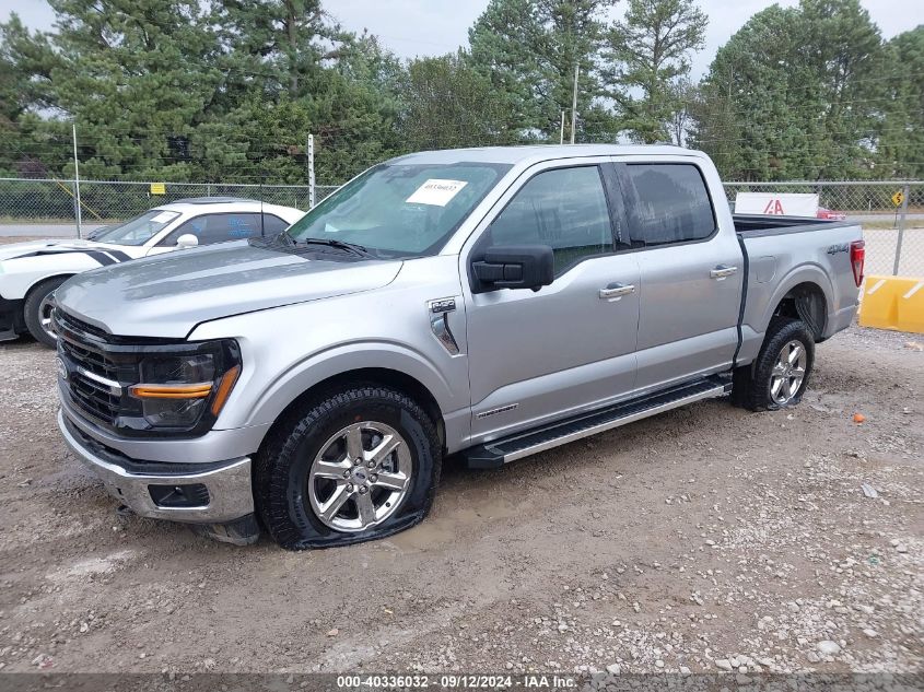 1FTFW3LD6RFA26959 2024 FORD F-150 - Image 2