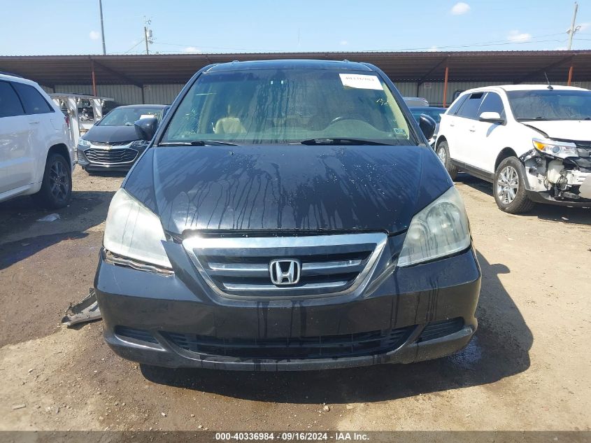 2005 Honda Odyssey Ex-L VIN: 5FNRL38645B033682 Lot: 40336984