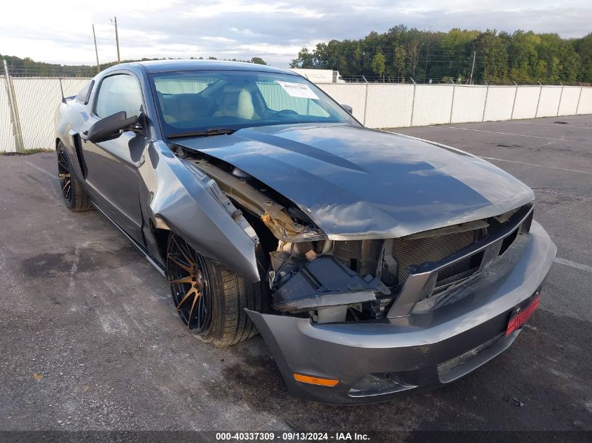 2010 Ford Mustang VIN: 1ZVBP8AN1A5130867 Lot: 40337309