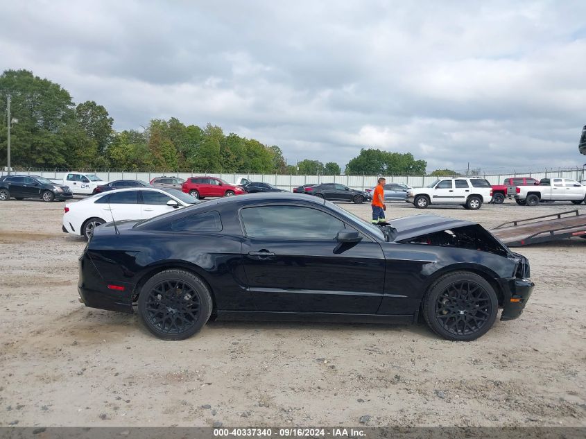 2014 Ford Mustang VIN: 1ZVBP8AM2E5334705 Lot: 40337340