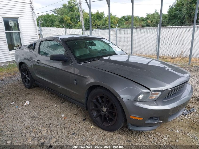 2011 Ford Mustang V6 Premium VIN: 1ZVBP8AM9B5168095 Lot: 40337506