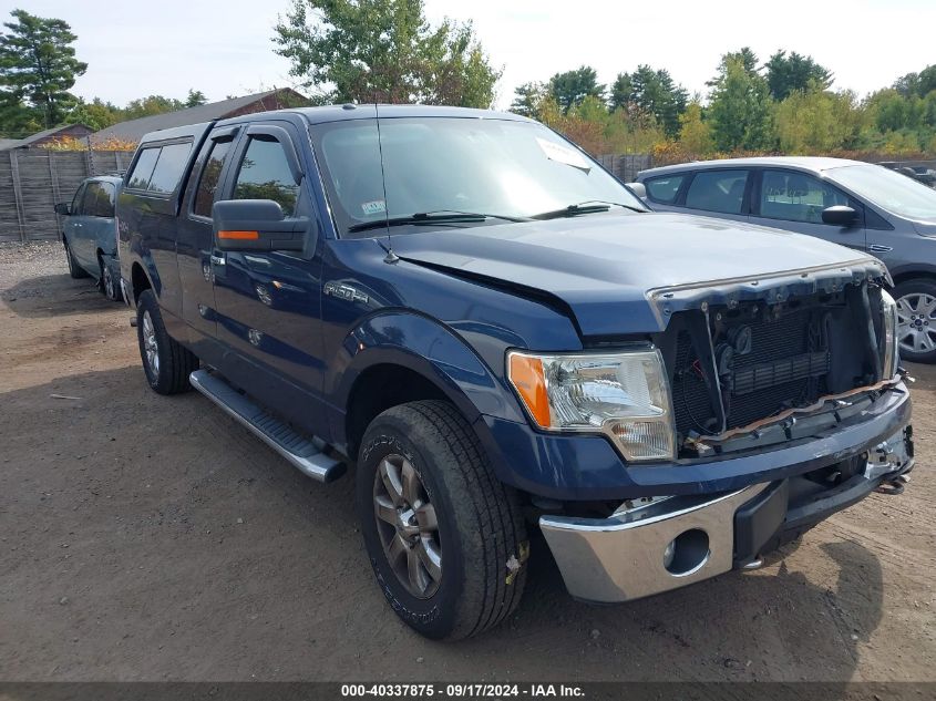 2013 Ford F-150 Xlt VIN: 1FTEX1EM9DFD60731 Lot: 40337875