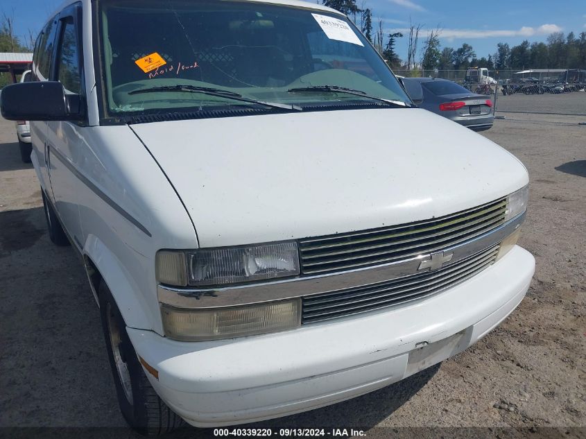 1996 Chevrolet Astro VIN: 1GNDM19W7TB143112 Lot: 40339220