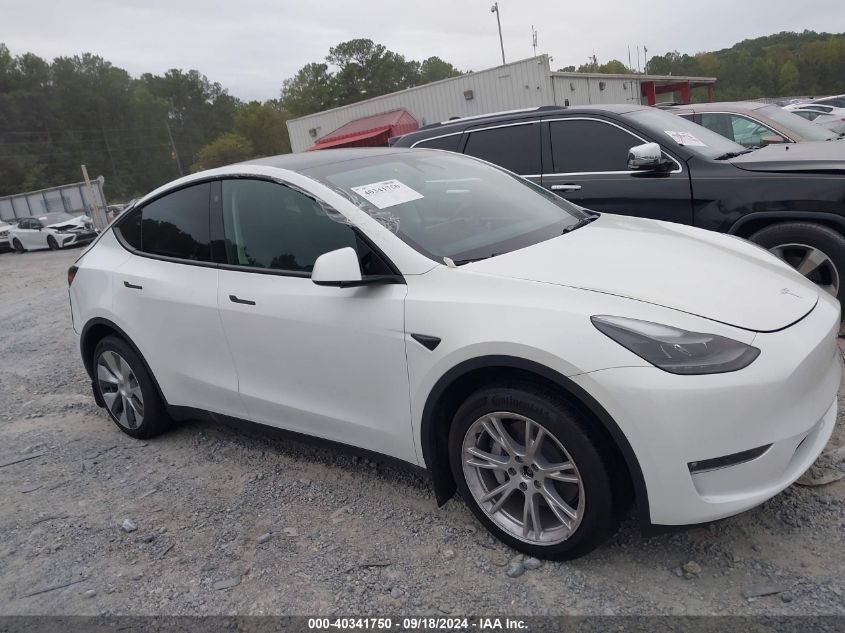 2023 Tesla Model Y VIN: 7SAYGDEE3PF768094 Lot: 40341750