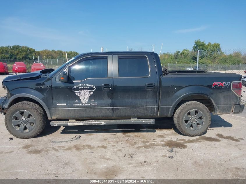 2013 Ford F-150 Fx4 VIN: 1FTFW1ETXDFC48681 Lot: 40341831