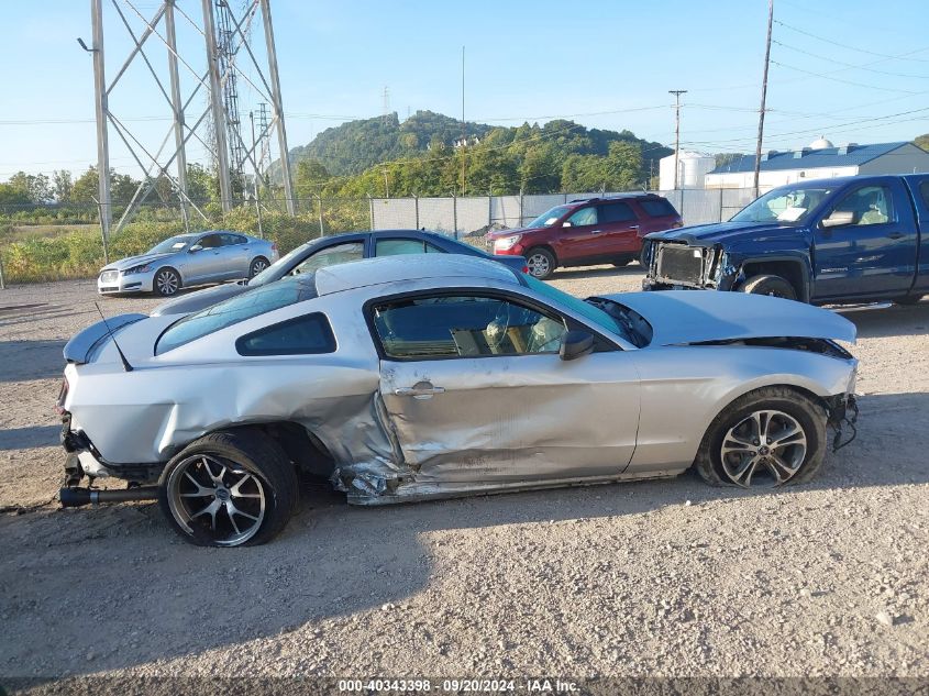 2013 FORD MUSTANG V6 - 1ZVBP8AMXD5277068