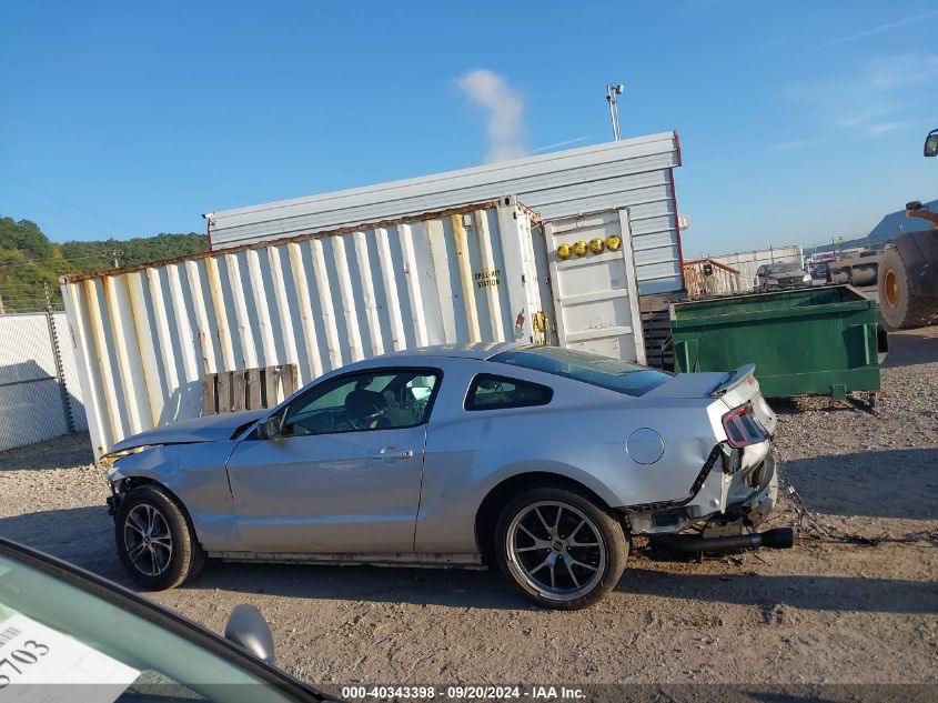 2013 FORD MUSTANG V6 - 1ZVBP8AMXD5277068