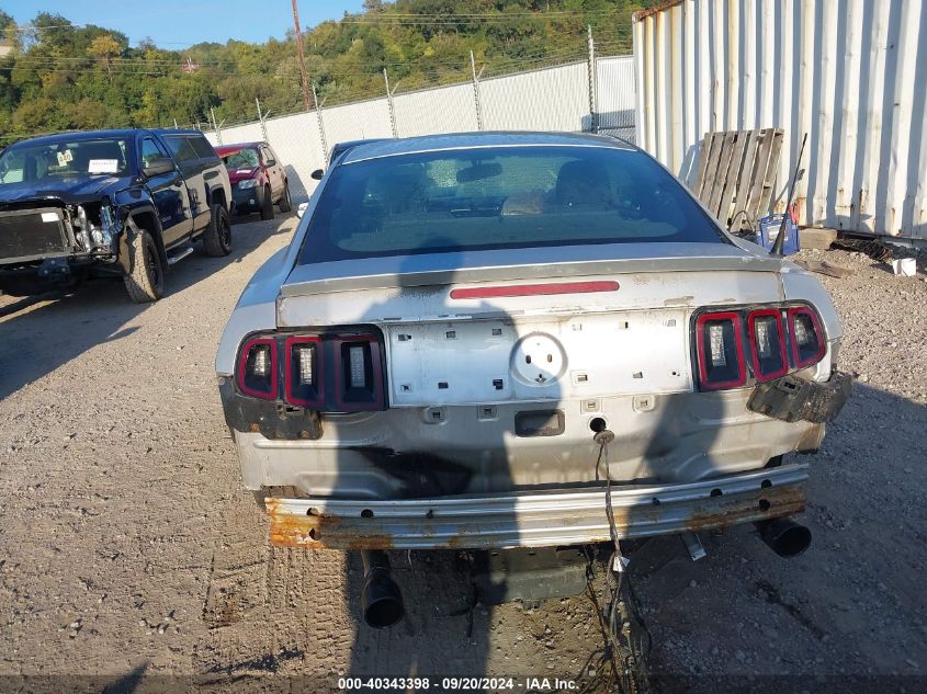 2013 FORD MUSTANG V6 - 1ZVBP8AMXD5277068