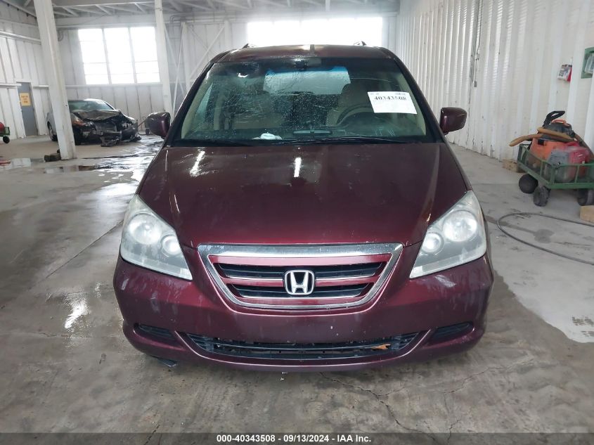 2007 Honda Odyssey Ex VIN: 5FNRL384X7B405513 Lot: 40343508