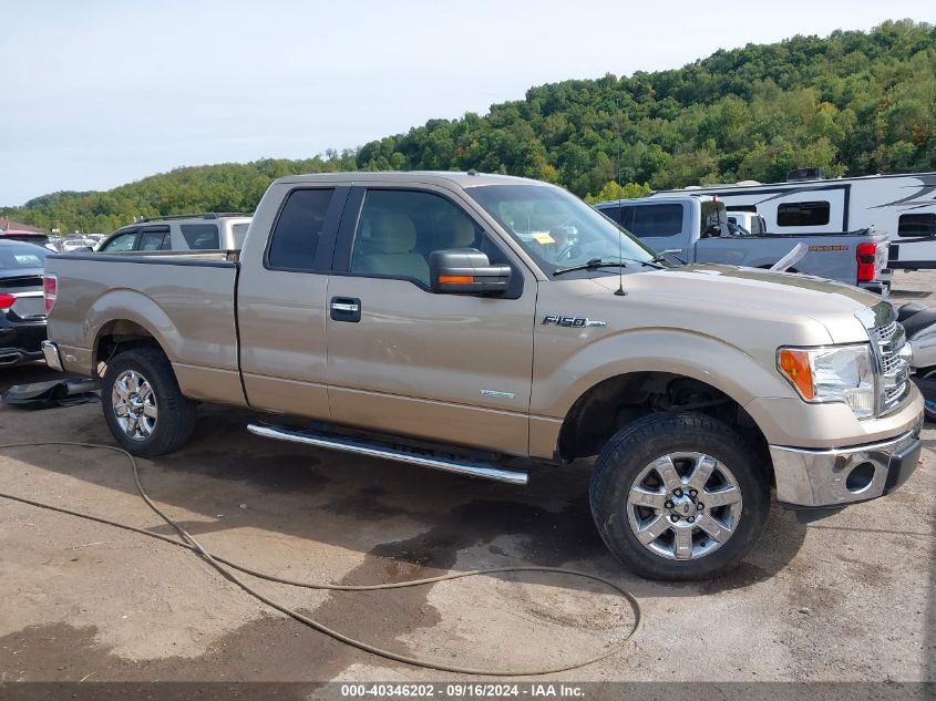 2013 Ford F-150 Xlt VIN: 1FTFX1CTXDFD46920 Lot: 40346202