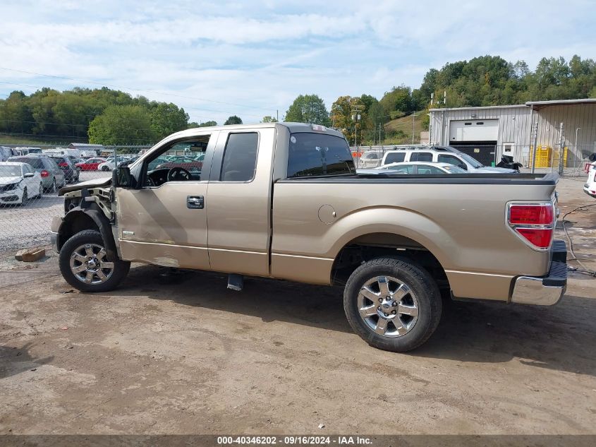 2013 Ford F-150 Xlt VIN: 1FTFX1CTXDFD46920 Lot: 40346202