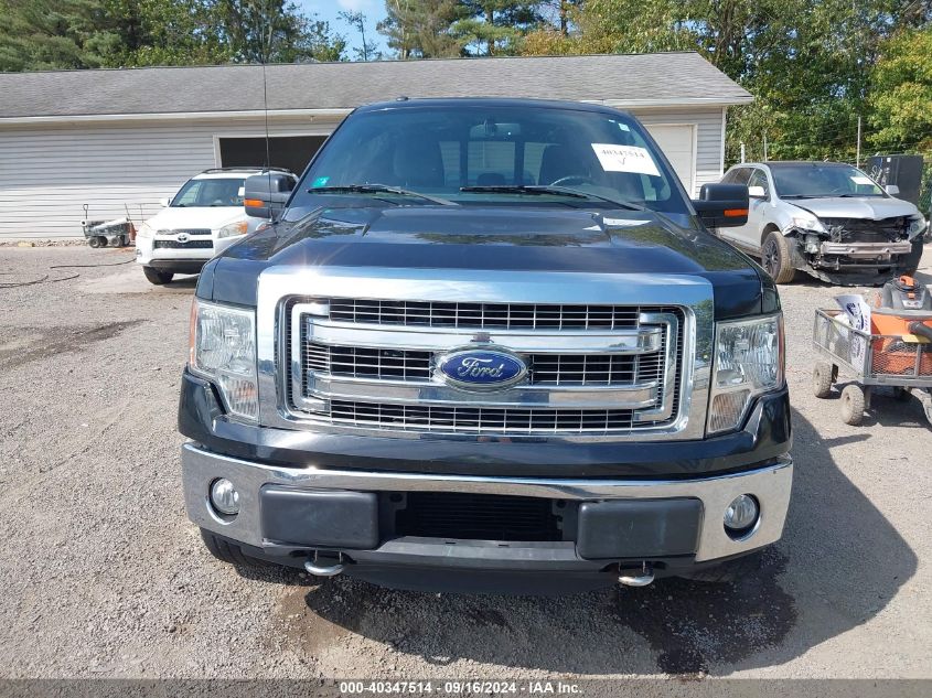 2013 Ford F-150 Xlt VIN: 1FTFX1ET7DFB94902 Lot: 40347514