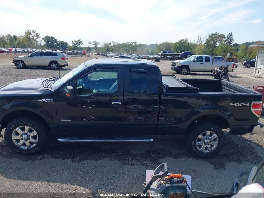 2013 Ford F-150 Xlt VIN: 1FTFX1ET7DFB94902 Lot: 40347514