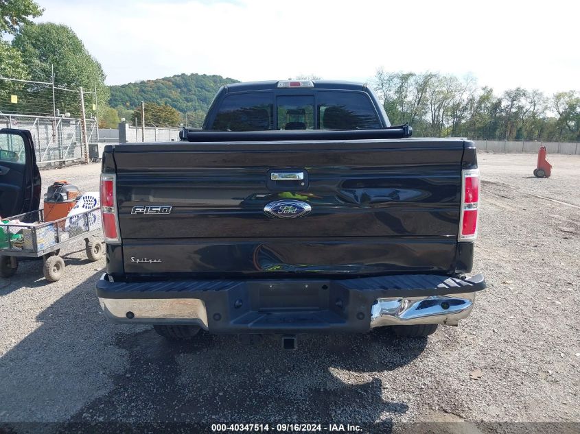 2013 Ford F-150 Xlt VIN: 1FTFX1ET7DFB94902 Lot: 40347514