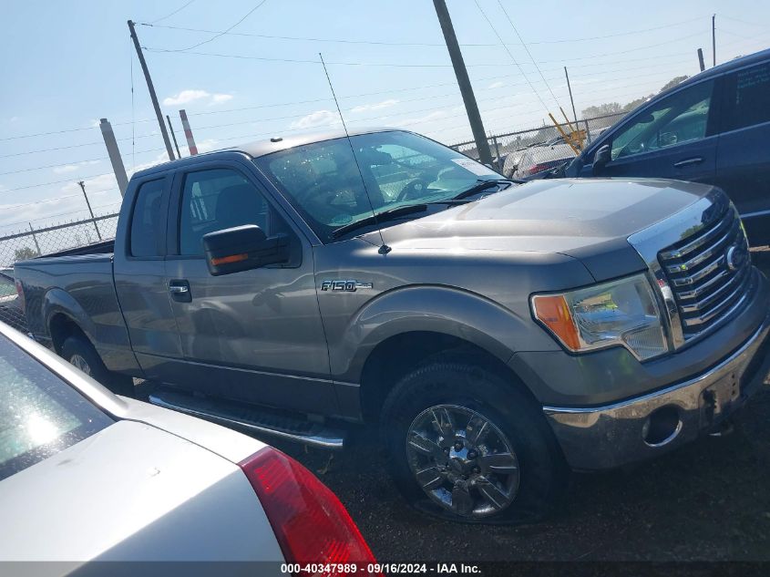 2011 Ford F-150 Xlt VIN: 1FTFX1EF2BFD41358 Lot: 40347989