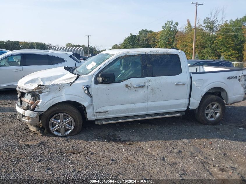 2024 FORD F-150 XLT - 1FTFW3LD9RFA42170