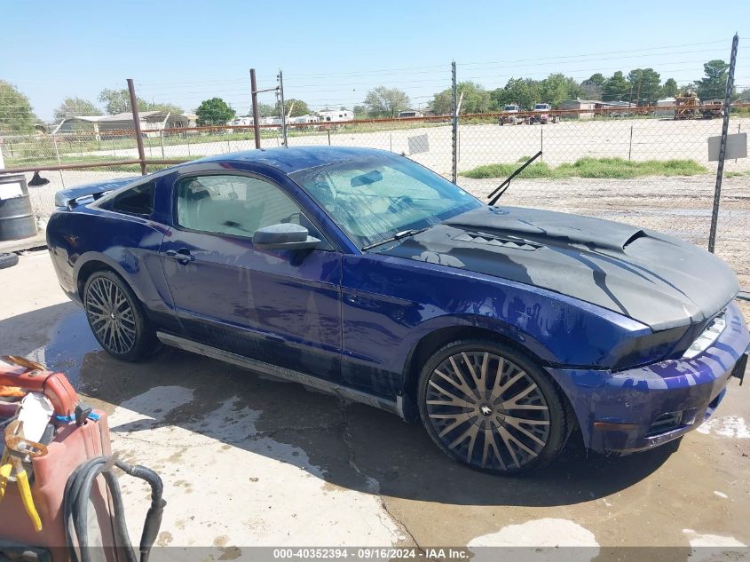 2011 Ford Mustang V6 VIN: 1ZVBP8AM7B5119381 Lot: 40352394