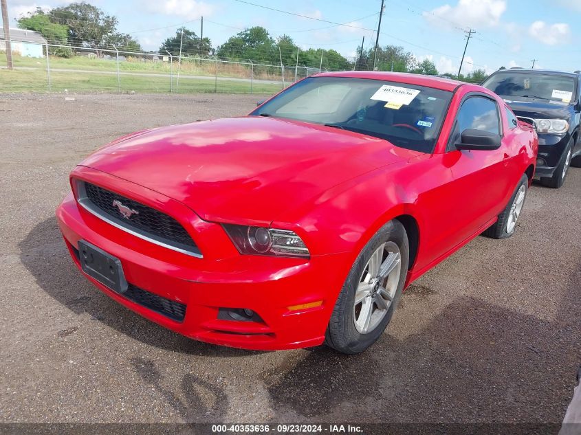 2014 FORD MUSTANG V6 - 1ZVBP8AMXE5201464