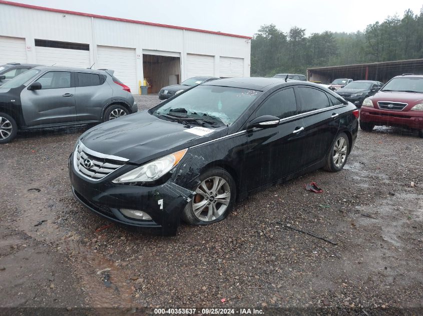 2013 HYUNDAI SONATA LIMITED - 5NPEC4AC9DH641931