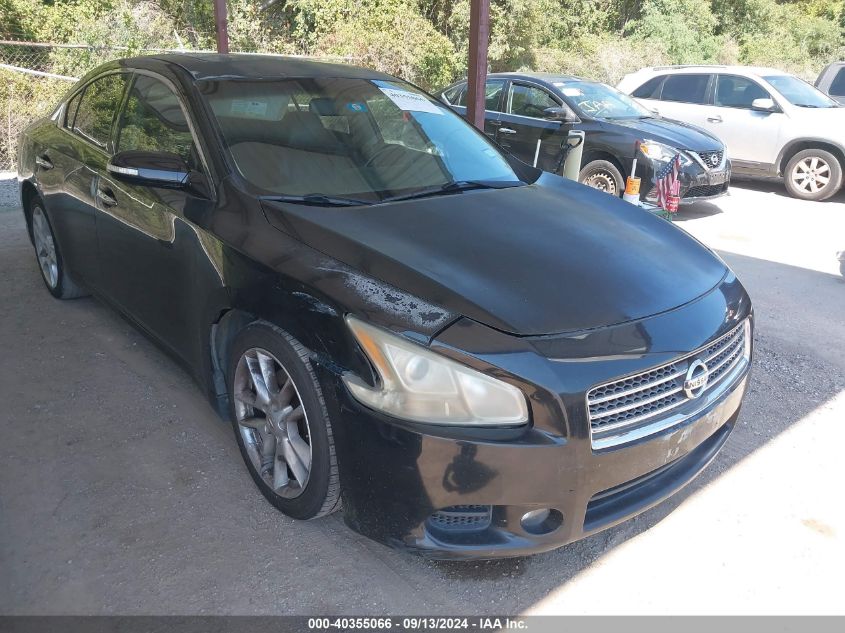 1N4AA5AP3AC807192 2010 Nissan Maxima 3.5 Sv