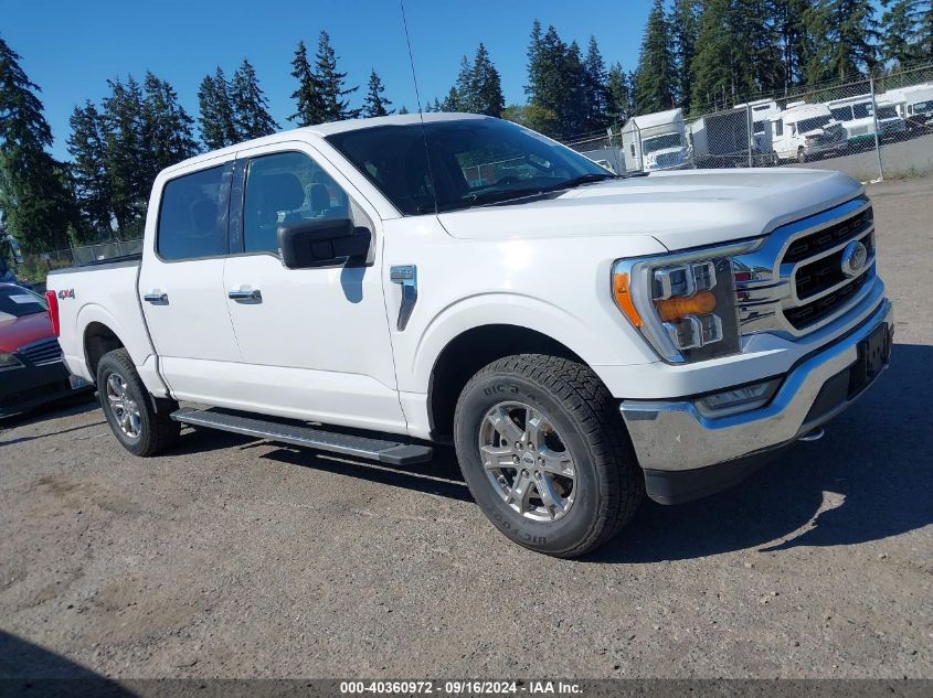 2021 Ford F-150 Xlt VIN: 1FTFW1E80MFA42054 Lot: 40360972