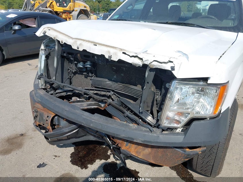 2014 FORD F-150 VIN: 1FTFX1EF4EKE45667