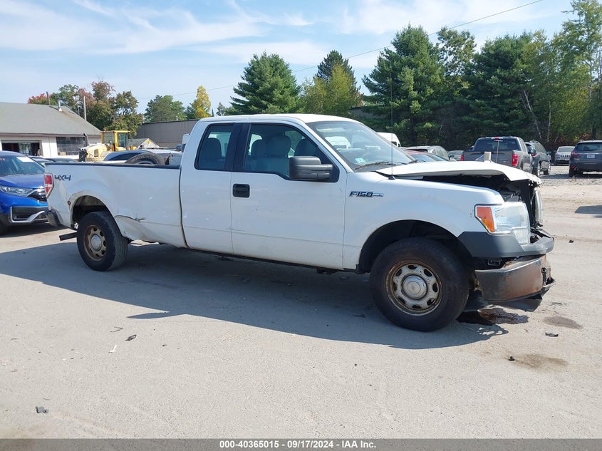 2014 FORD F-150 VIN: 1FTFX1EF4EKE45667