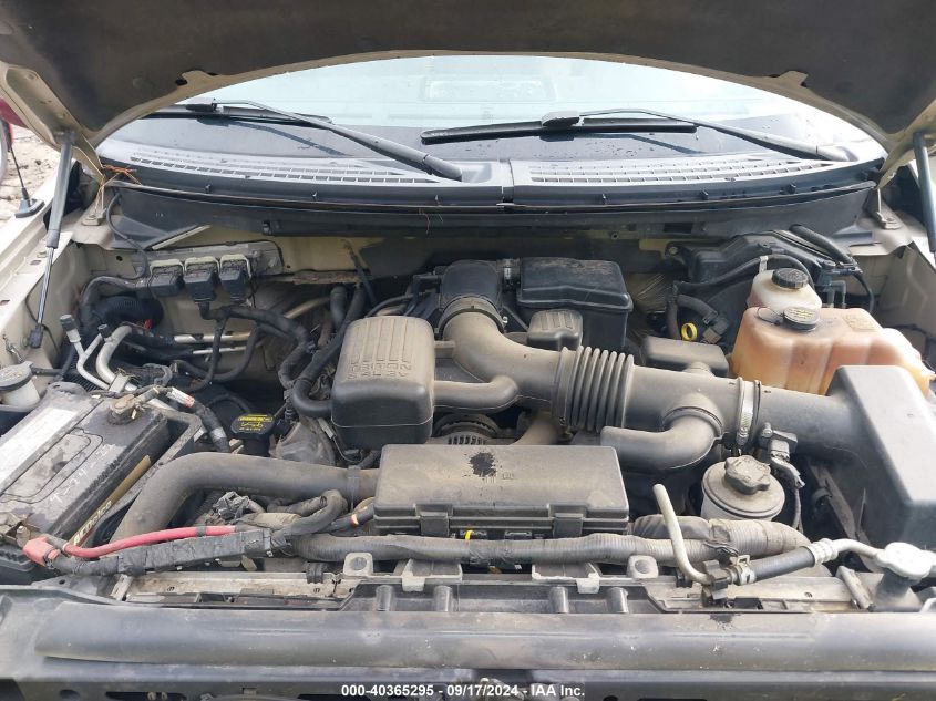 2010 Ford F-150 Fx4/Lariat/Xl/Xlt VIN: 1FTFX1EVXAFB28762 Lot: 40365295