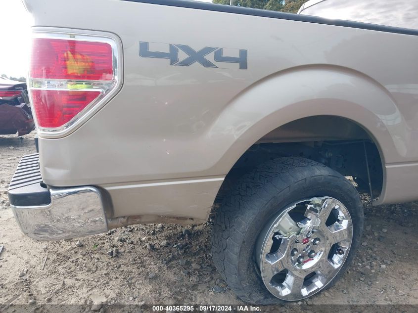 2010 Ford F-150 Fx4/Lariat/Xl/Xlt VIN: 1FTFX1EVXAFB28762 Lot: 40365295