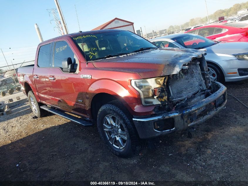 2017 FORD F-150 XLT - 1FTEW1EG8HFA62884