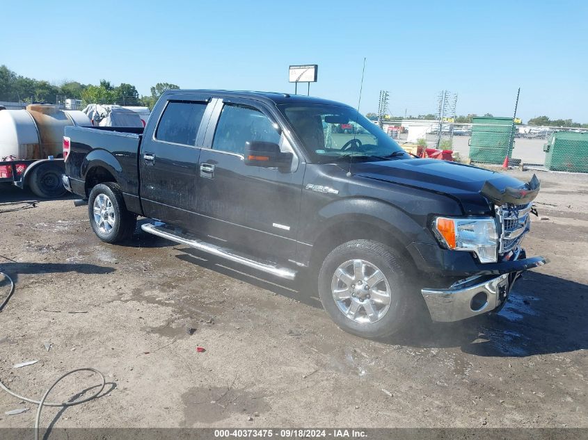 2014 FORD F-150 XLT - 1FTFW1CT4EKE94573