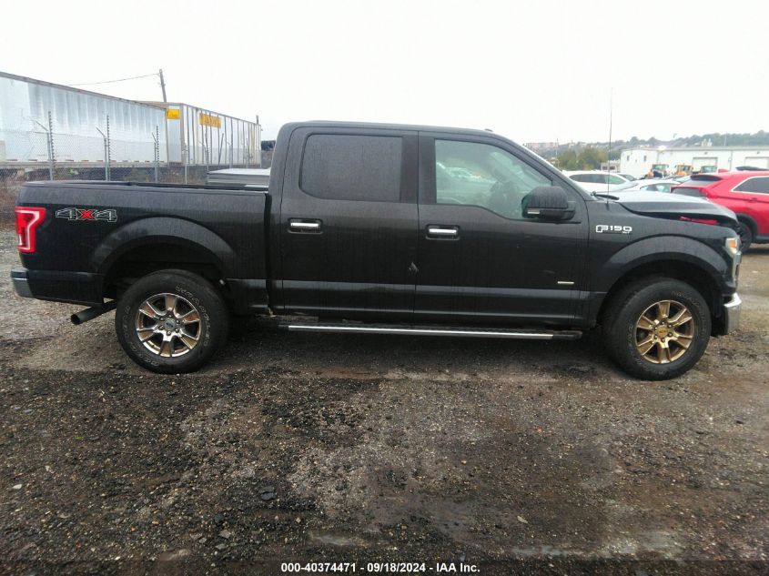 2015 FORD F-150 XLT - 1FTEW1EP7FFA65868