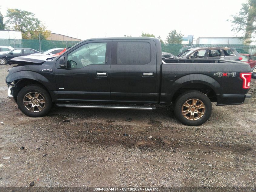 2015 FORD F-150 XLT - 1FTEW1EP7FFA65868