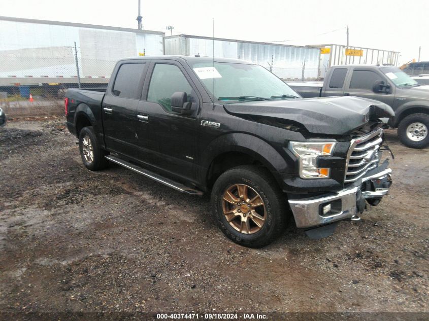 2015 FORD F-150 XLT - 1FTEW1EP7FFA65868