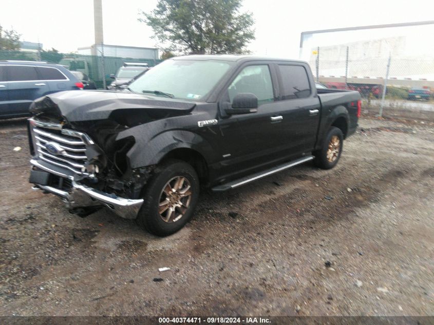 2015 FORD F-150 XLT - 1FTEW1EP7FFA65868