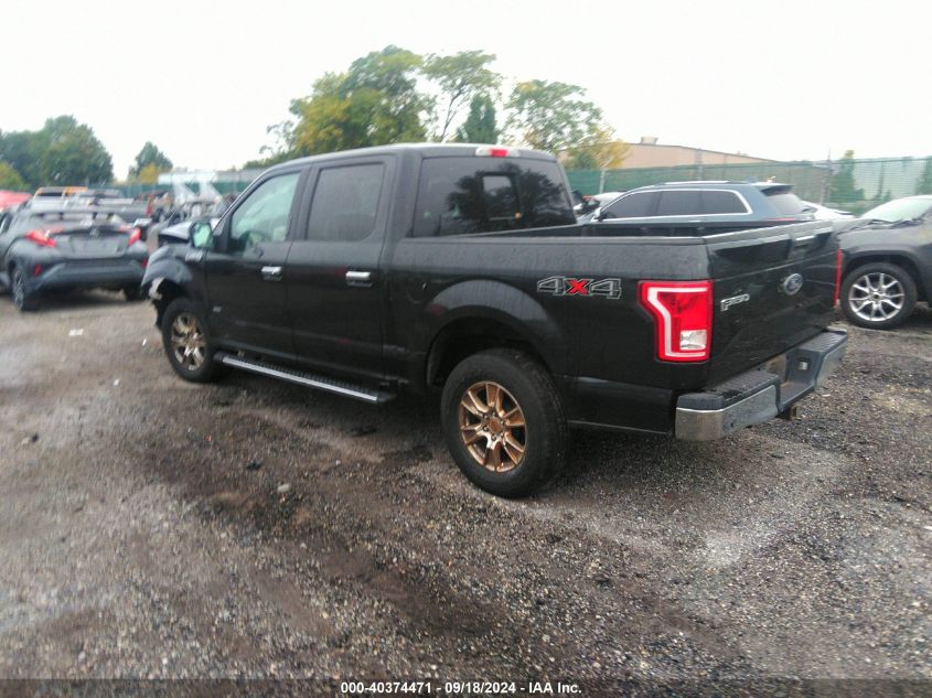 2015 FORD F-150 XLT - 1FTEW1EP7FFA65868